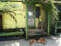 woofer house